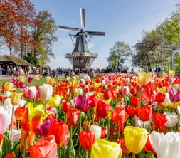 Keukenhof