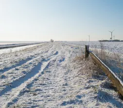 Schneelandschaft in der Nähe von Gorinchem