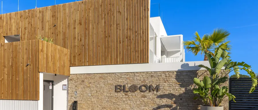 Bloom