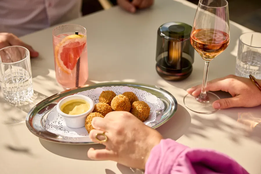 Terras bitterballen