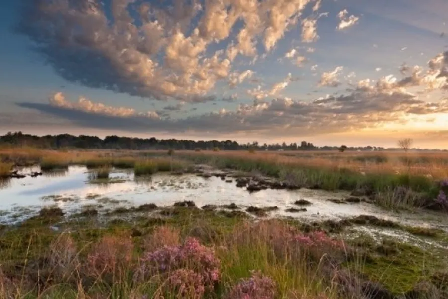 Twente