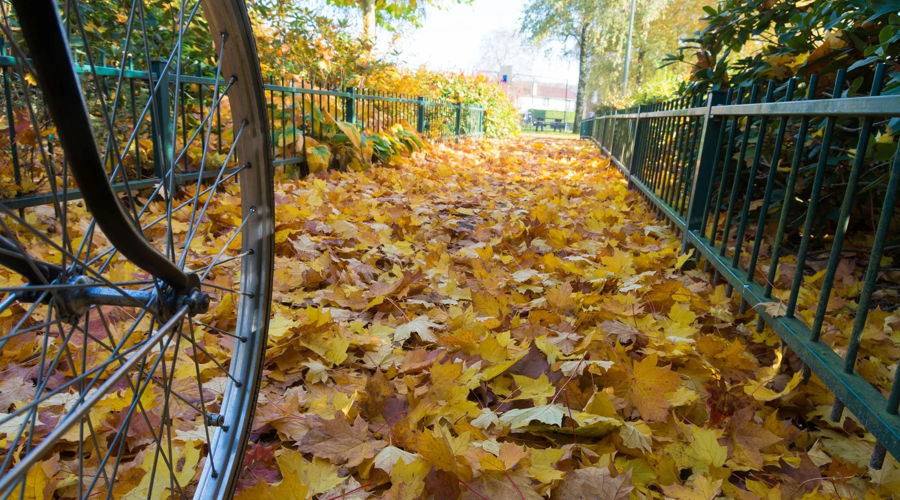 Herfst