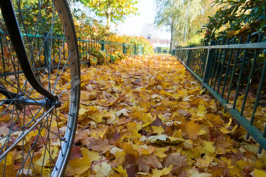 Herfst