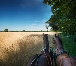 Natuur