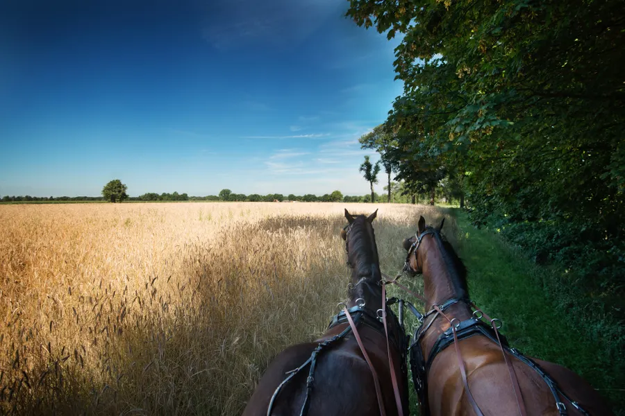 Natuur