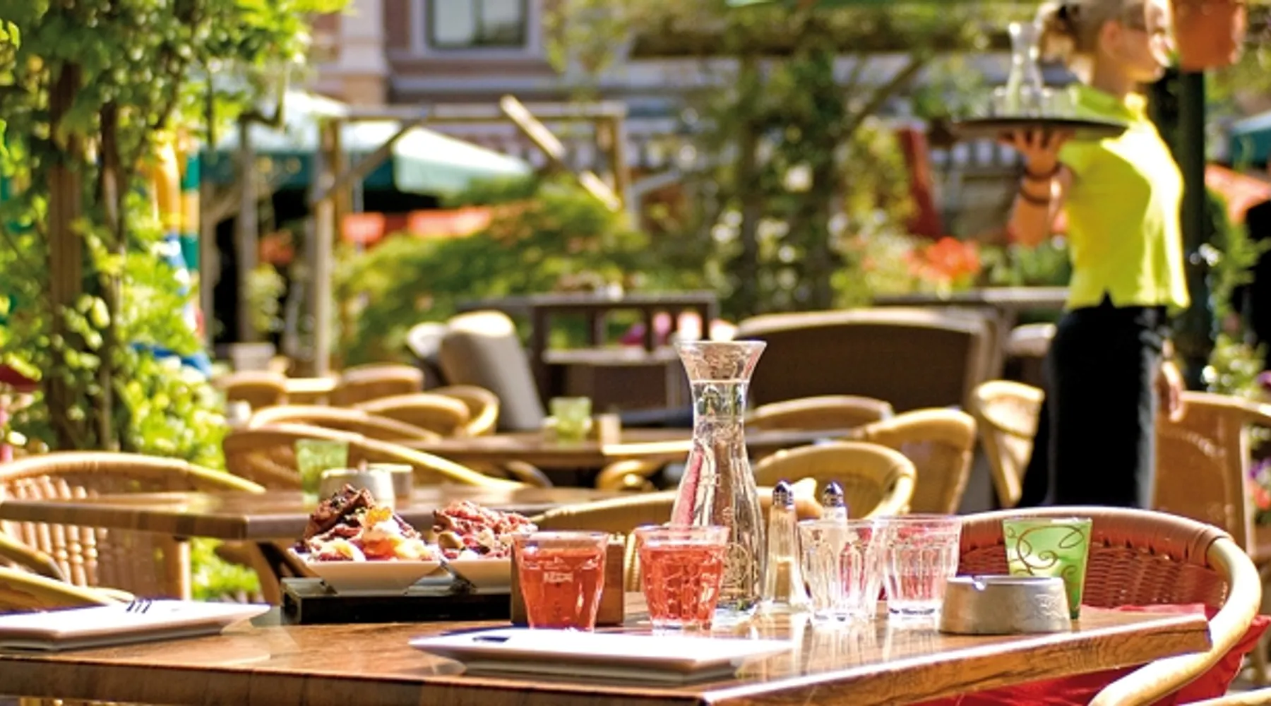 Tapas terras