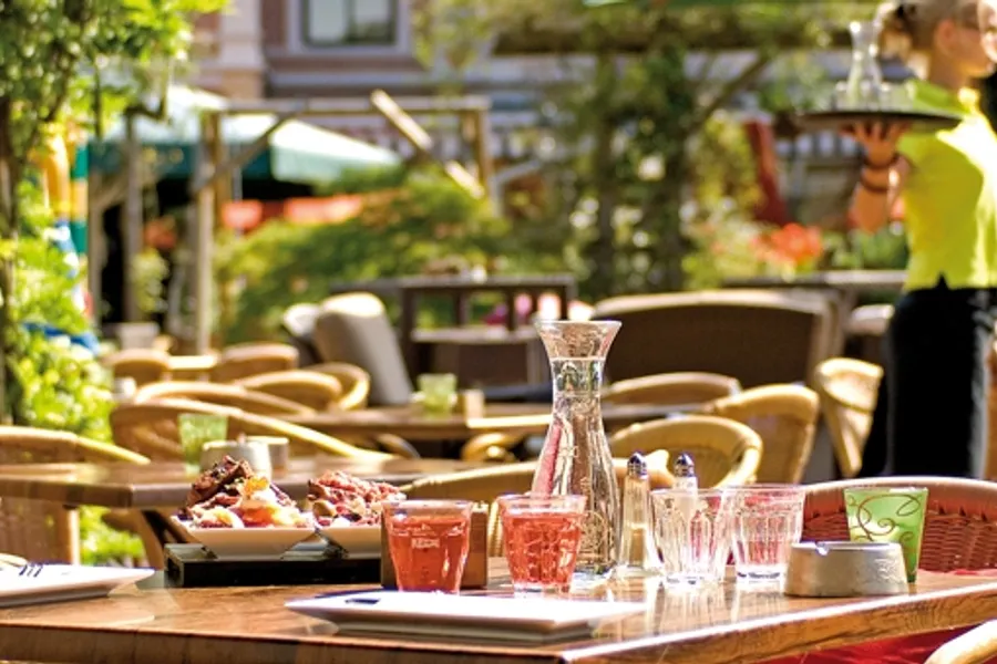 Tapas terras