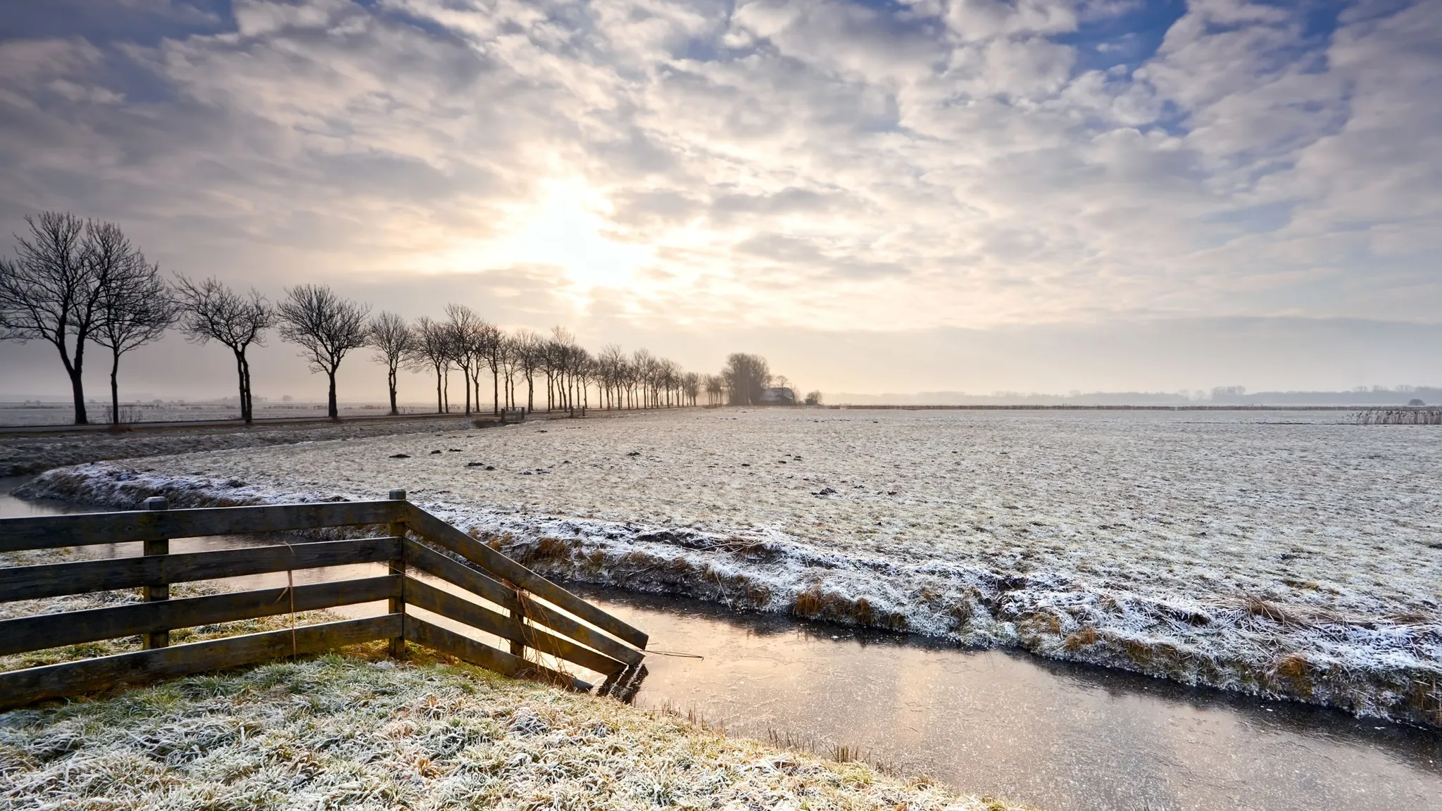 Winterlandschap