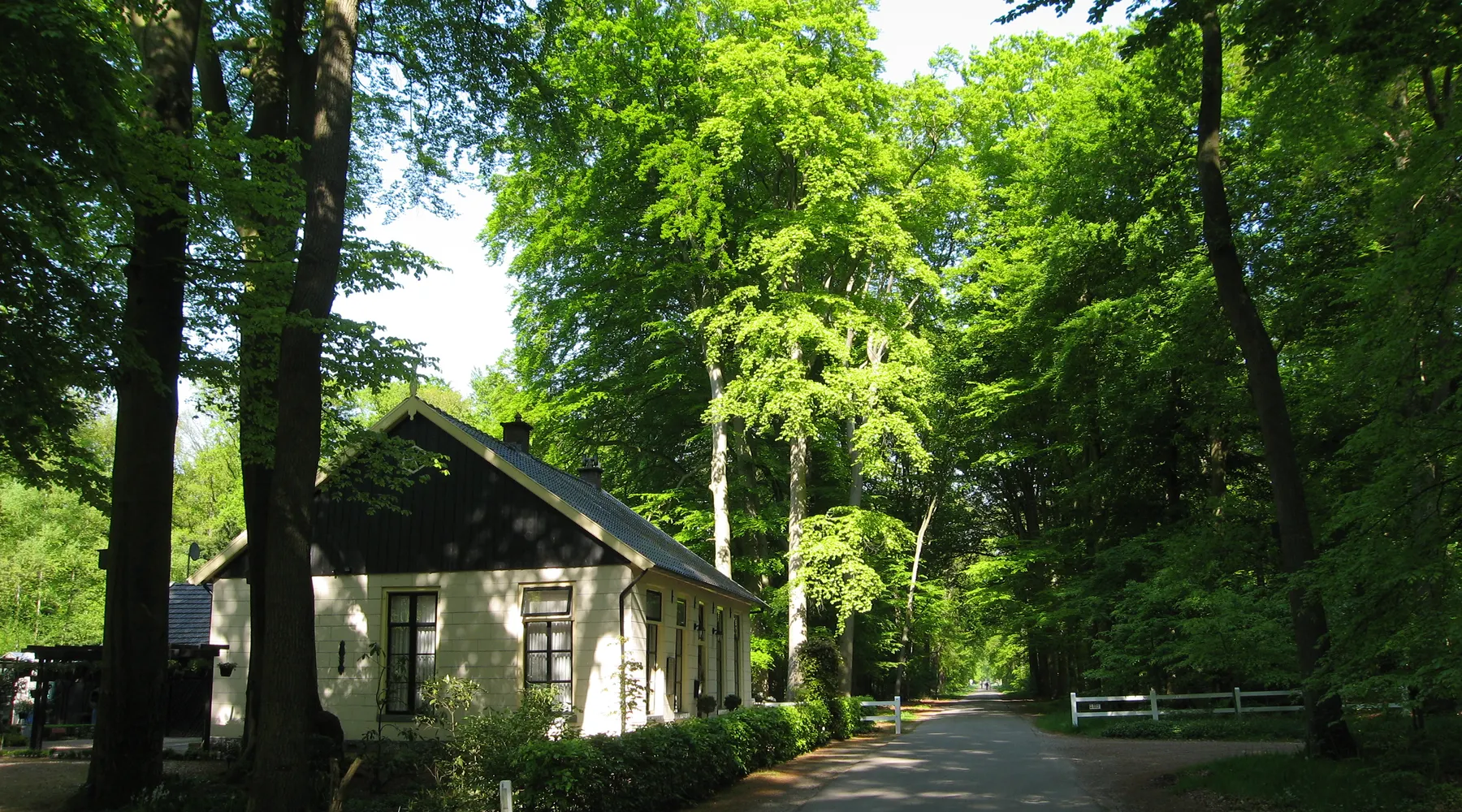 Gravenallee