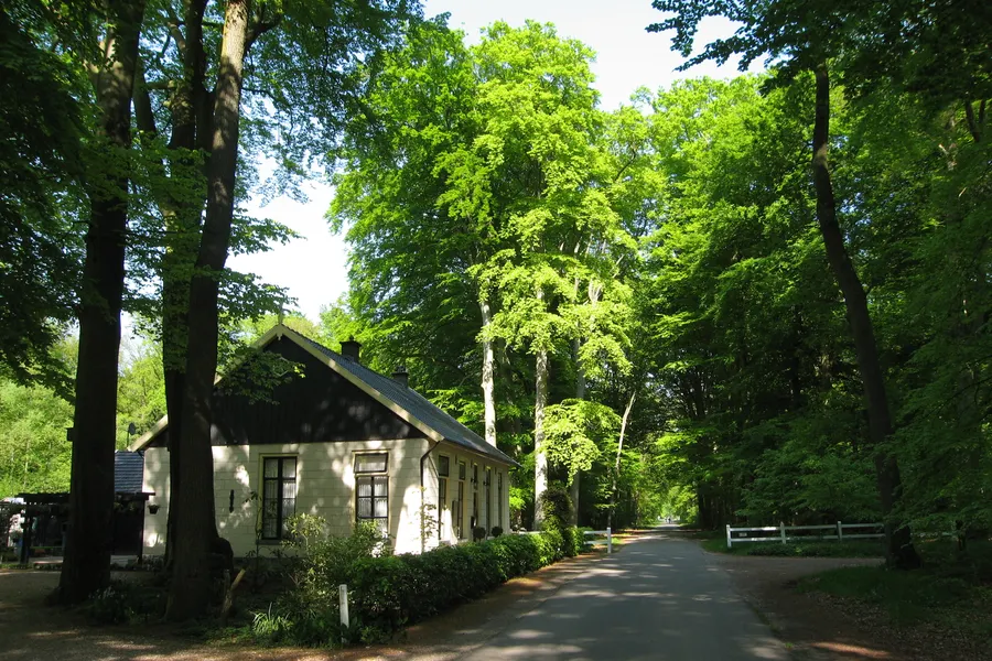 Gravenallee