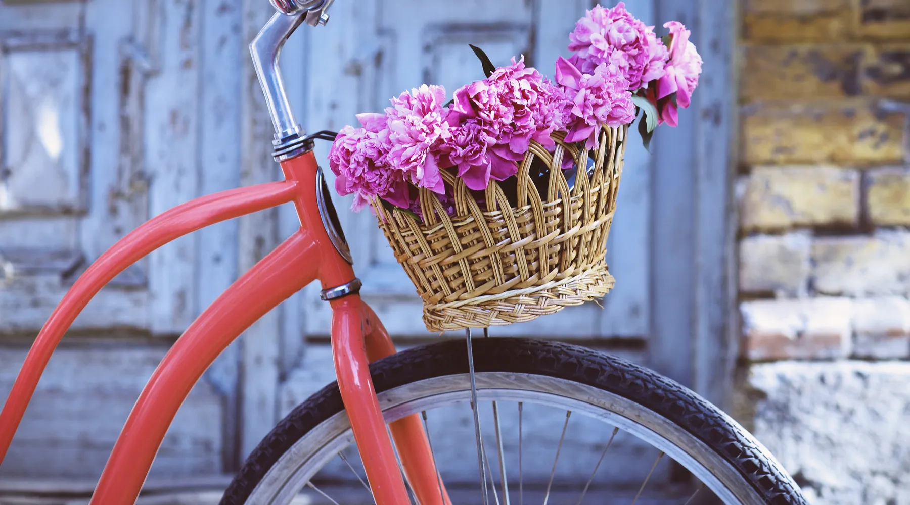 Fahrrad