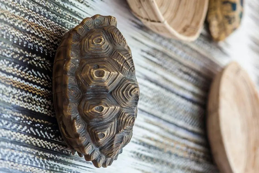 Schildpad