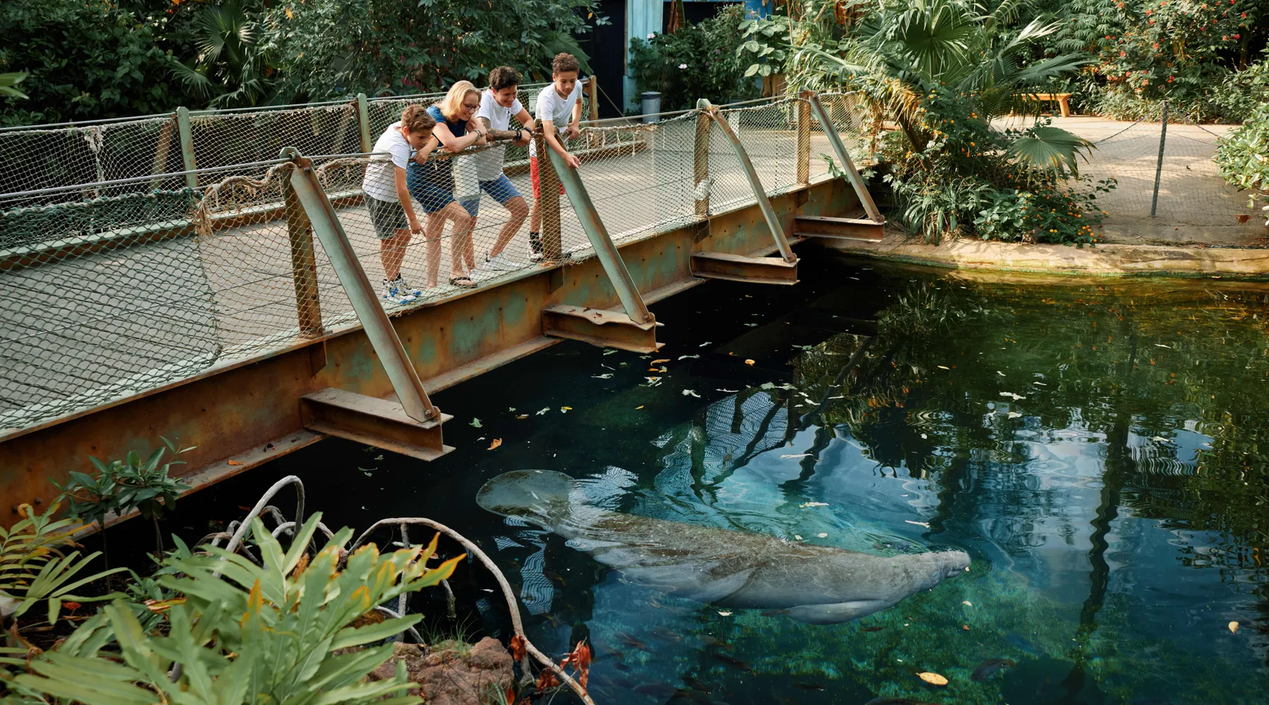 Geniet van dagje uit met het Burgers' Zoo Arrangement