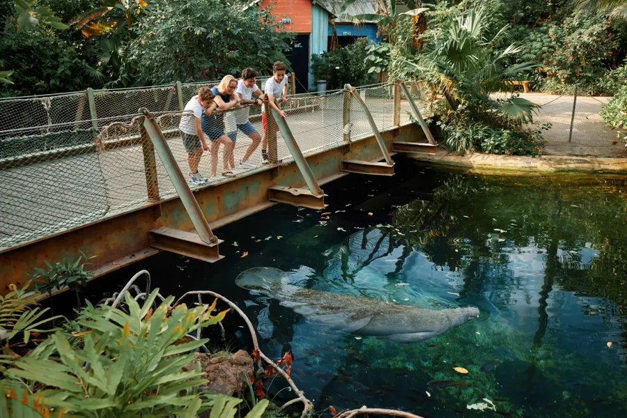 Geniet van dagje uit met het Burgers' Zoo Arrangement