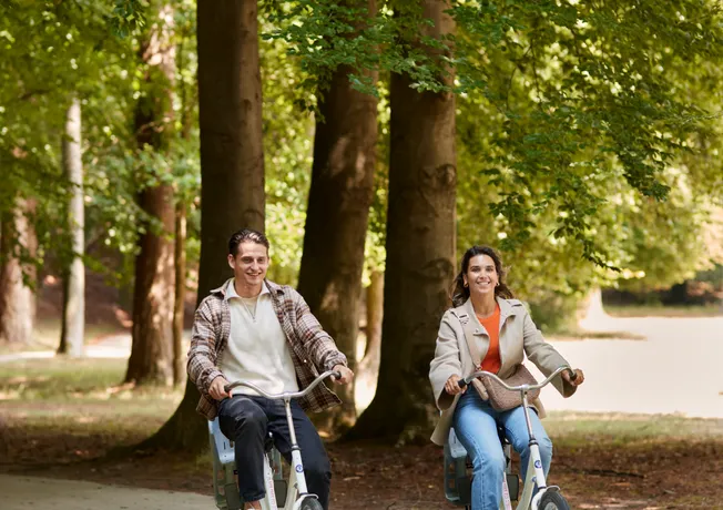 E-bike arrangement fietsen op de Veluwe