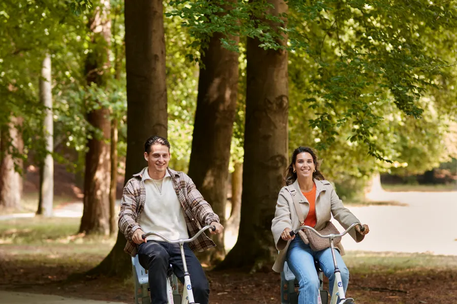 E-bike arrangement fietsen op de Veluwe