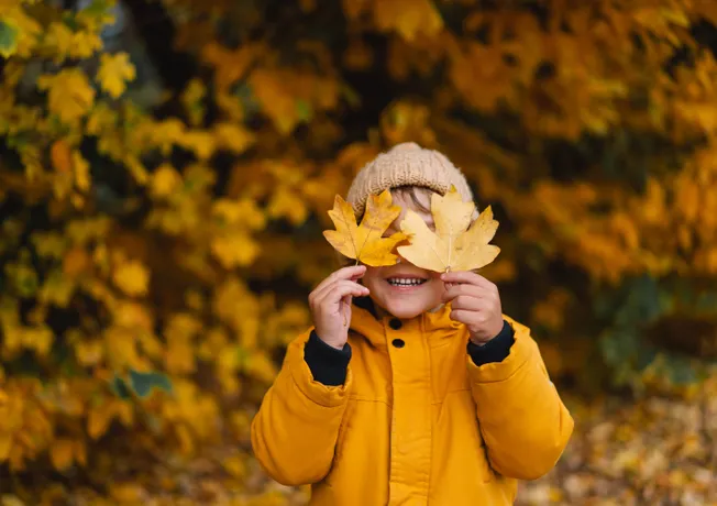 Ontdek de prachtige omgeving met het Heerlijk Herfst Arrangement