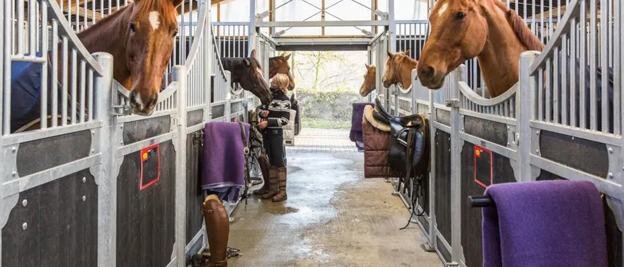 Paardenhotel