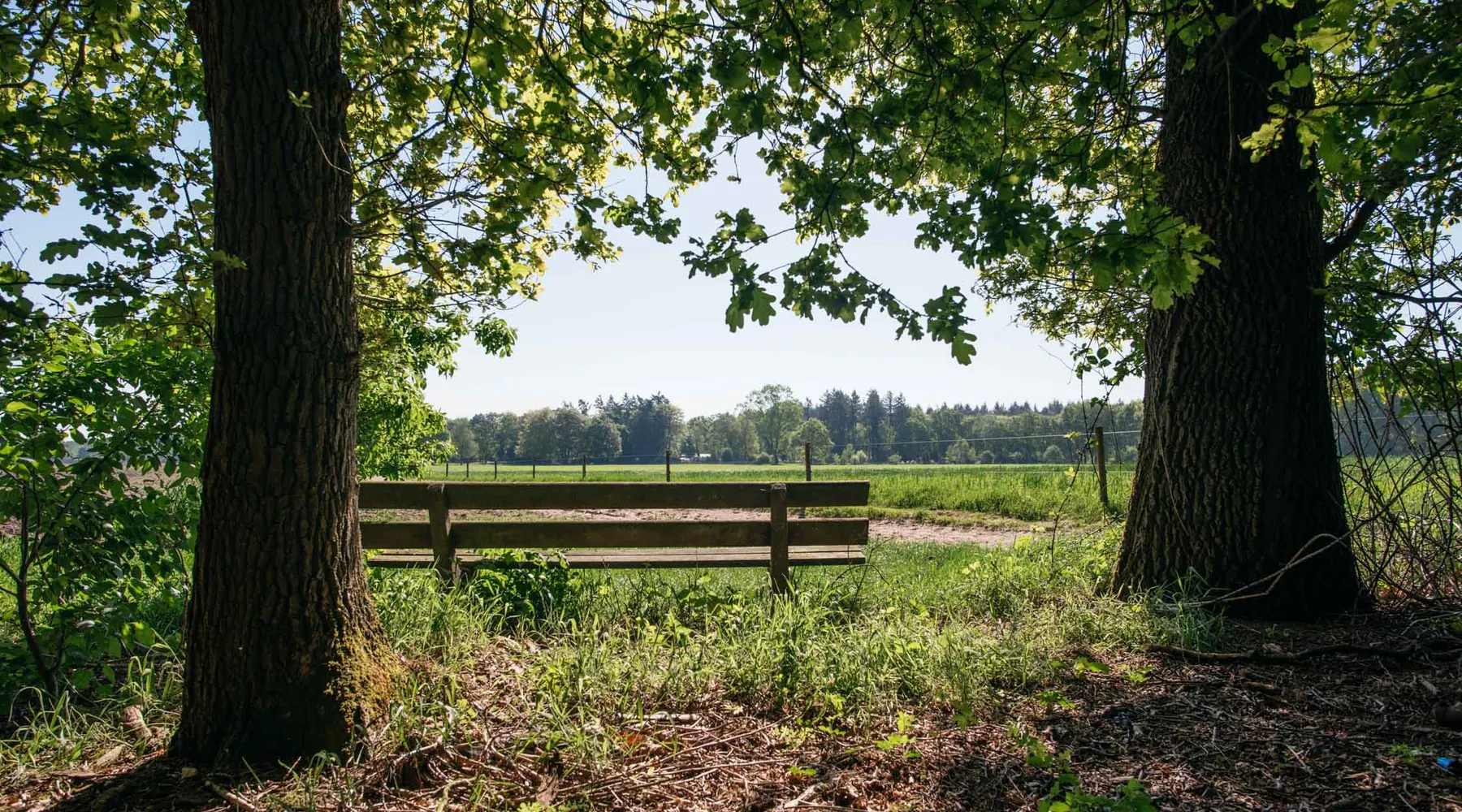 Voorjaar