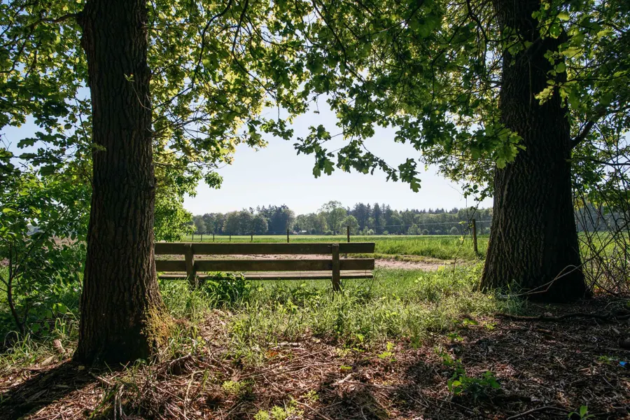 Voorjaar