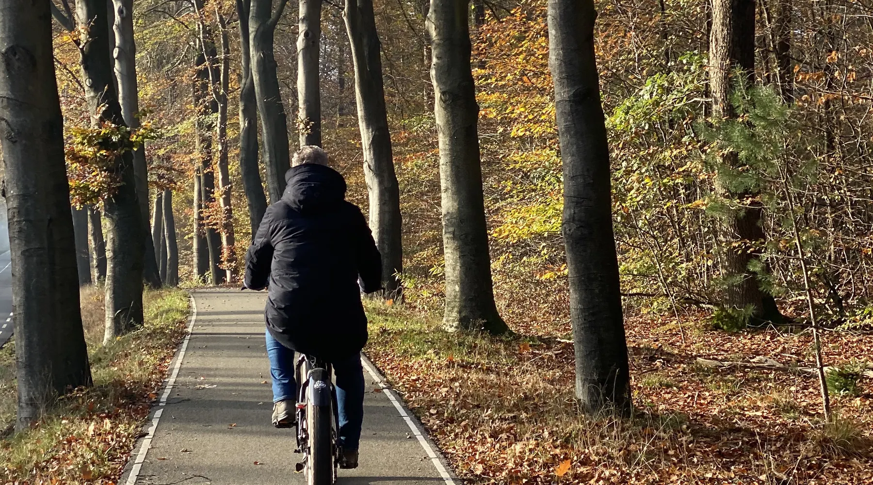 Ciclying on the Veluwe