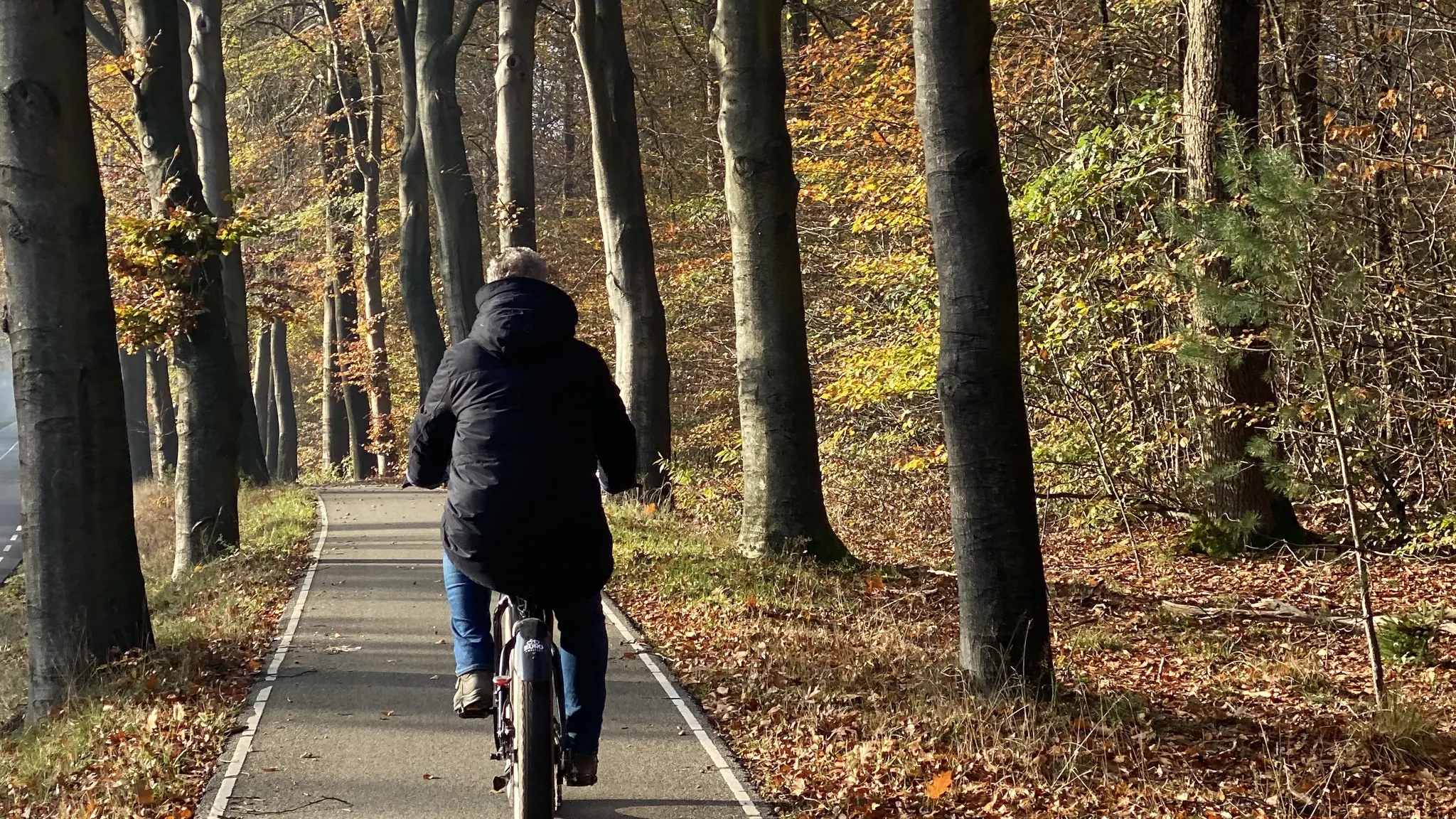 Herfst hotelarrangement op de Veluwe