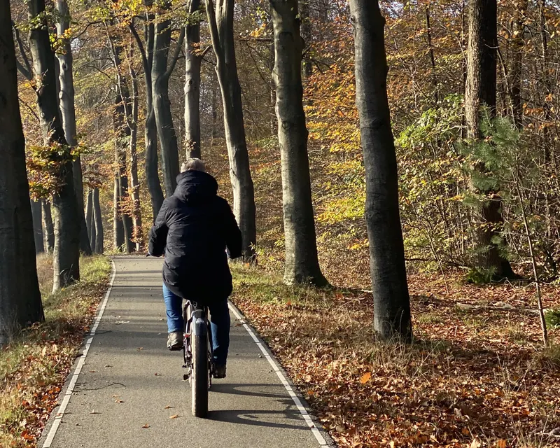 Radfahren auf der Veluwe
