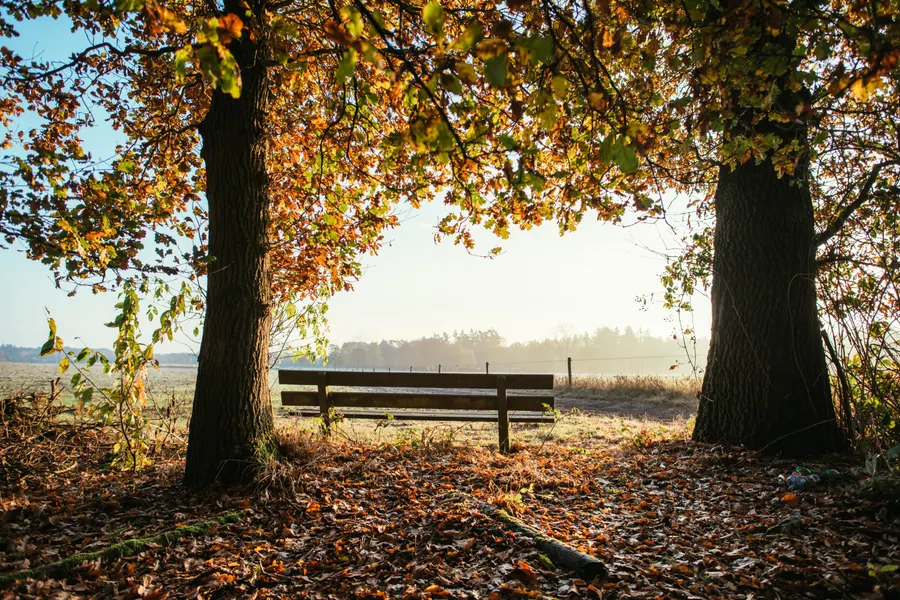 TIMBUITING_1559