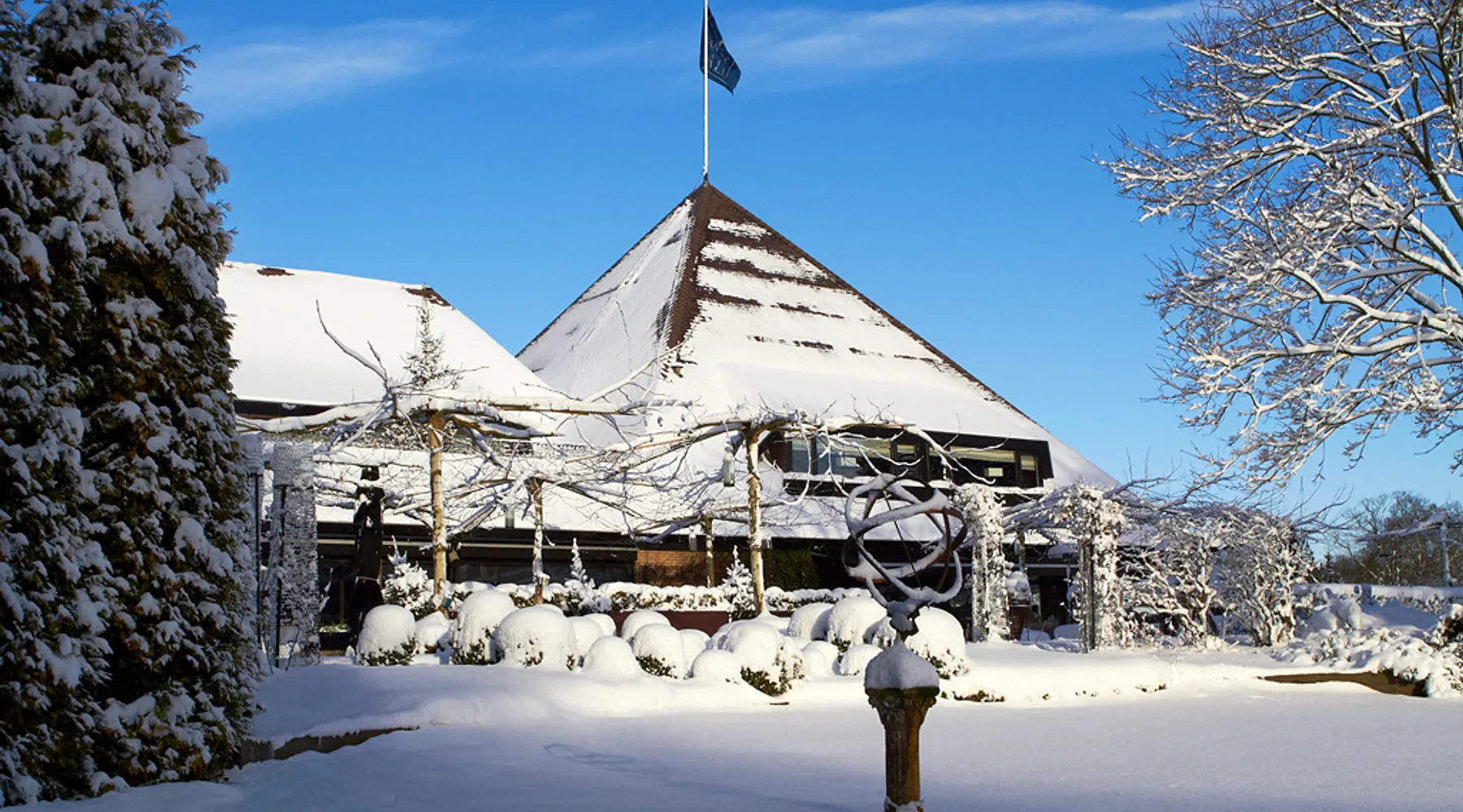 Winter op de Veluwe
