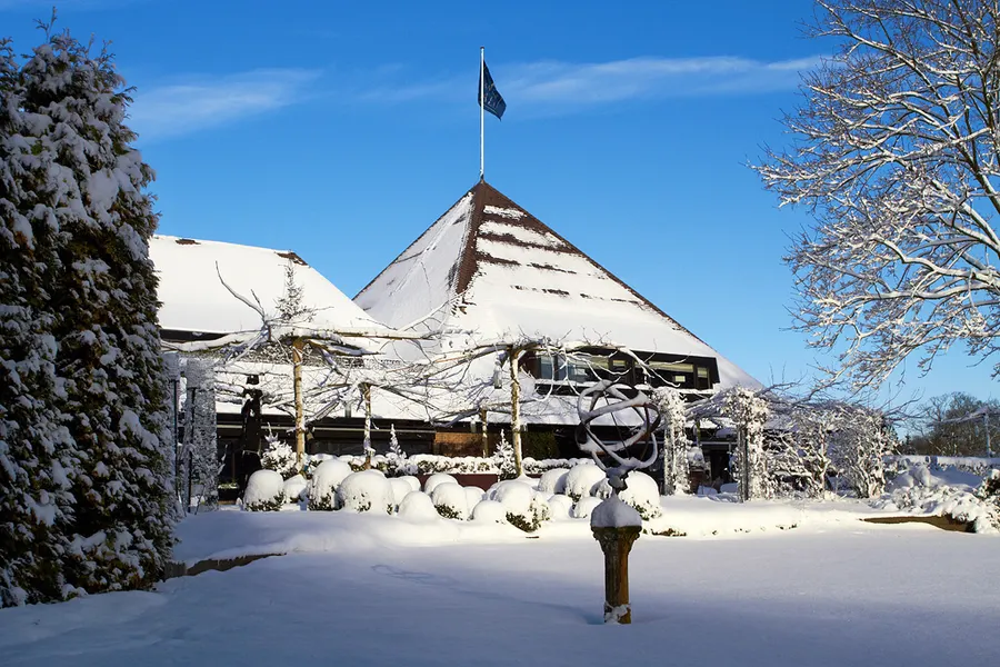 Winter op de Veluwe