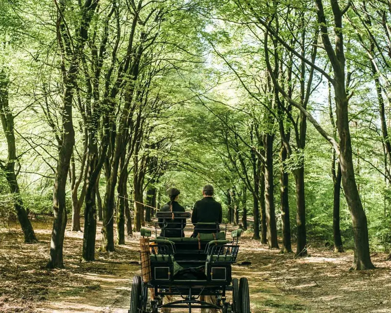Kutsche Veluwe