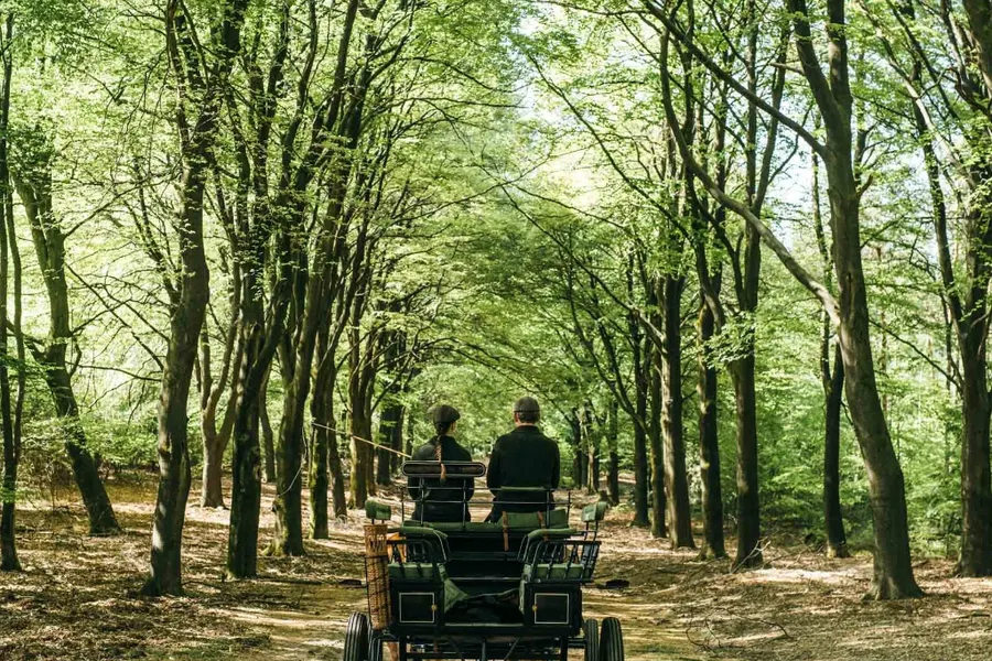 Carriage Veluwe