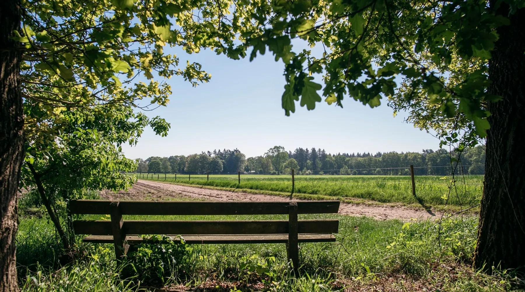 Veluwe