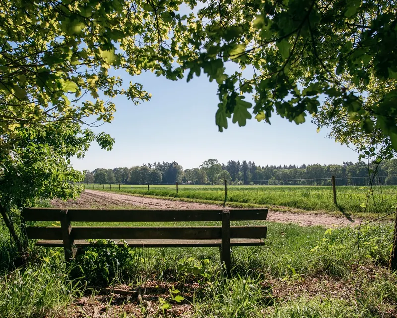 Veluwe