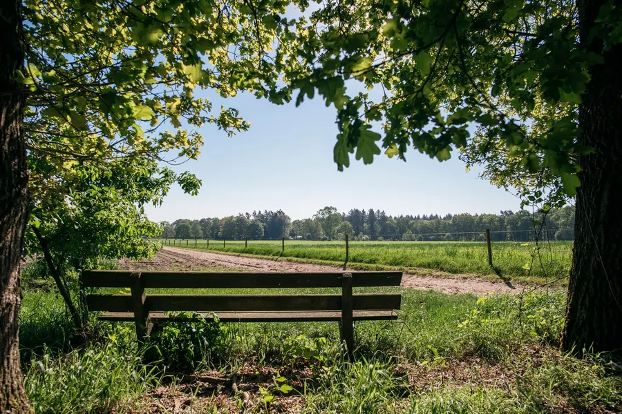 Veluwe