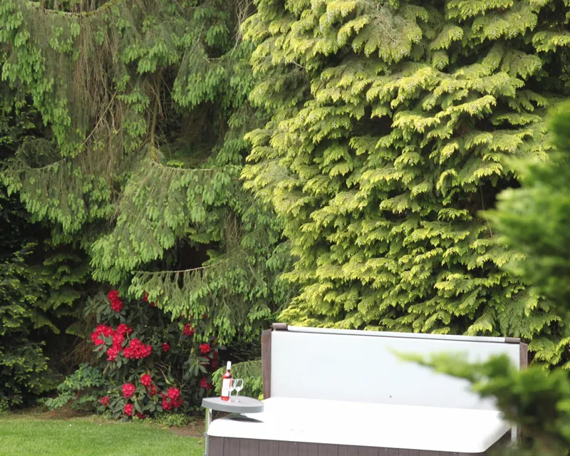 Mansion op the Veluwe Van der Valk hotel Apeldoorn - de Cantharel
