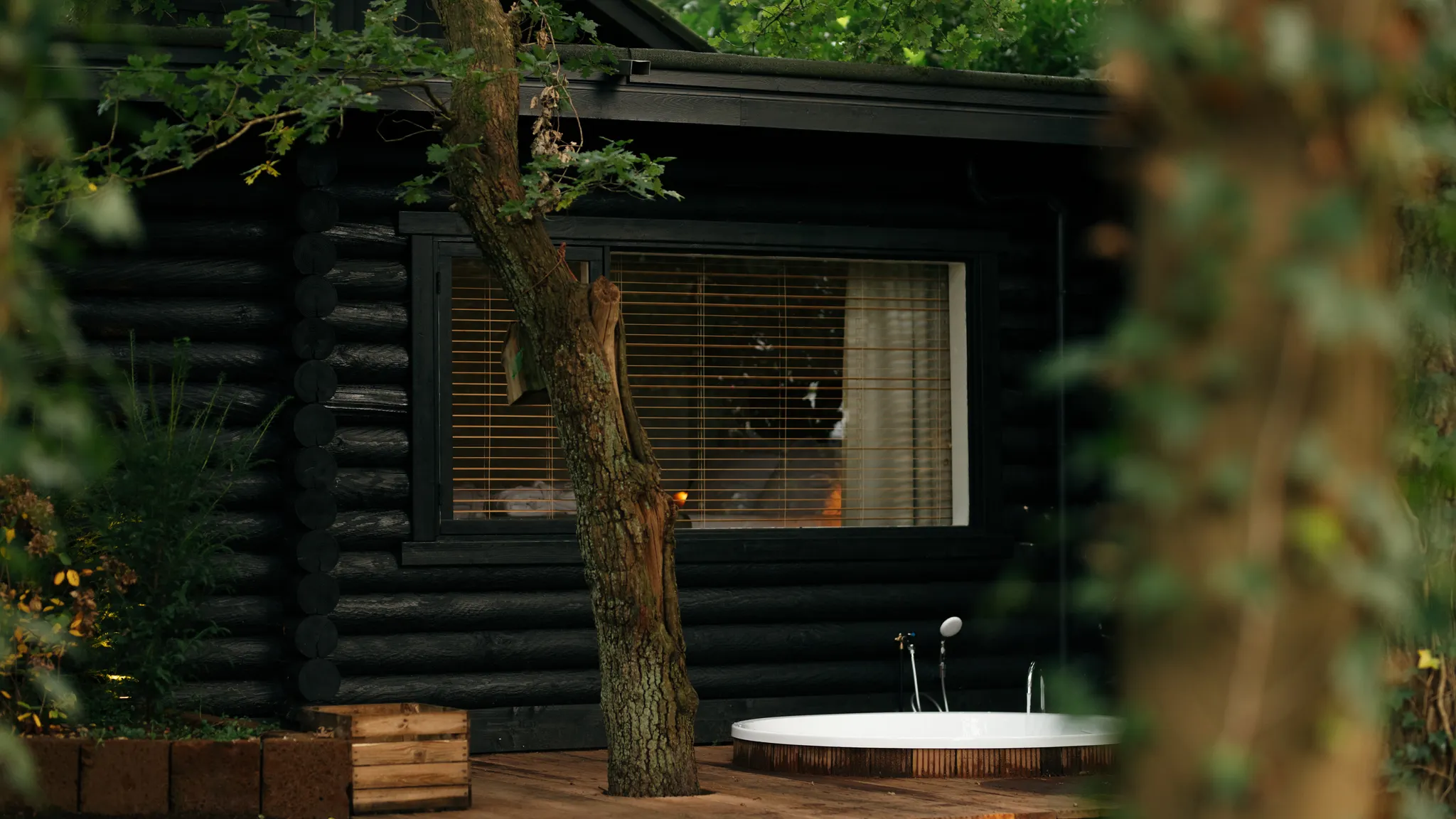 Forest cabin