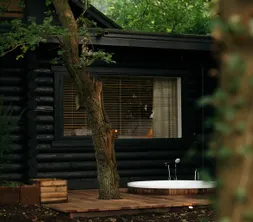 Forest cabin