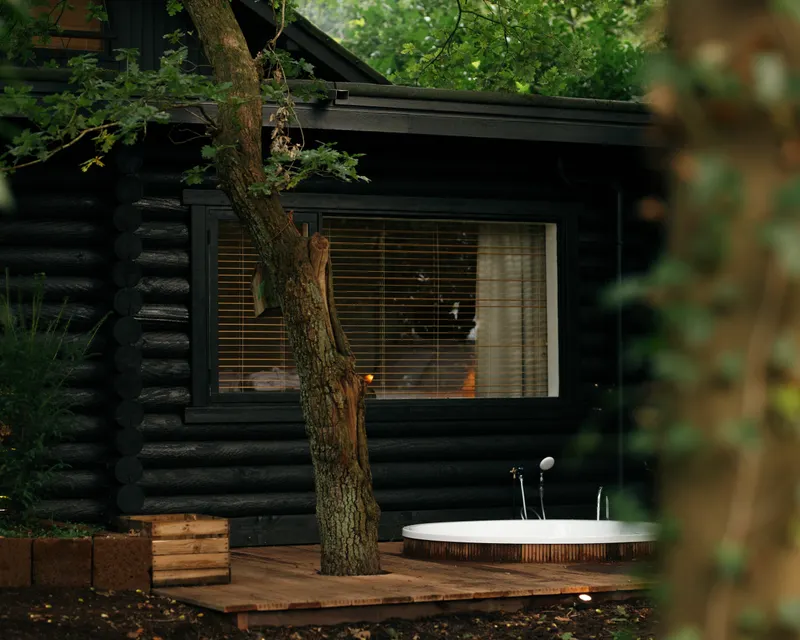 Forest cabin