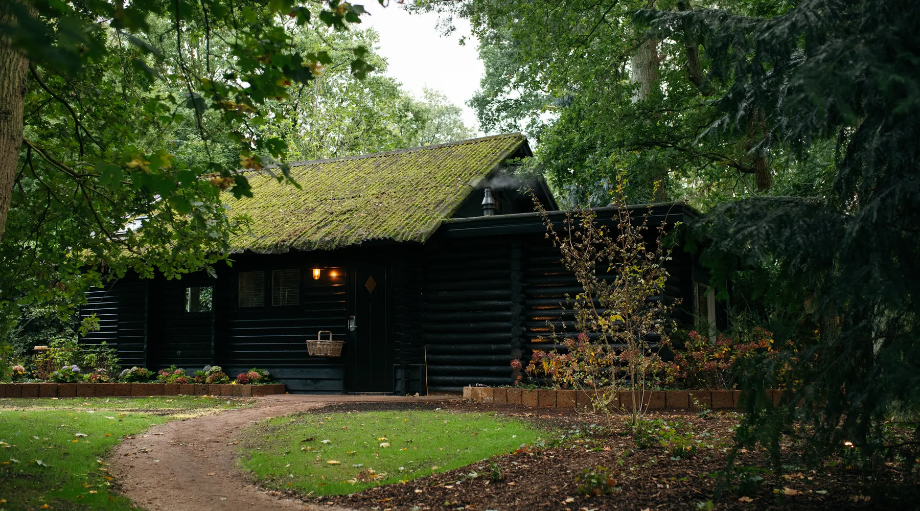 Forest cabin