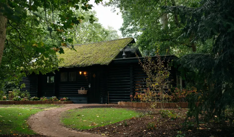 Forest cabin