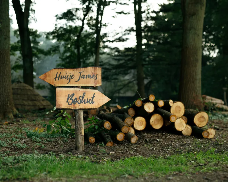 Forest cabin
