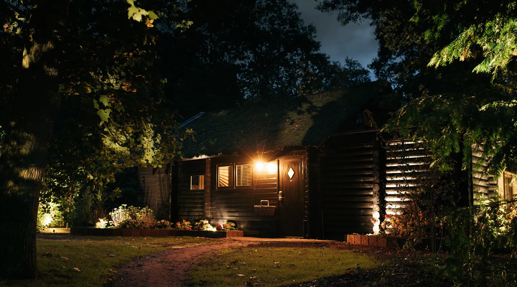 Forest cabin