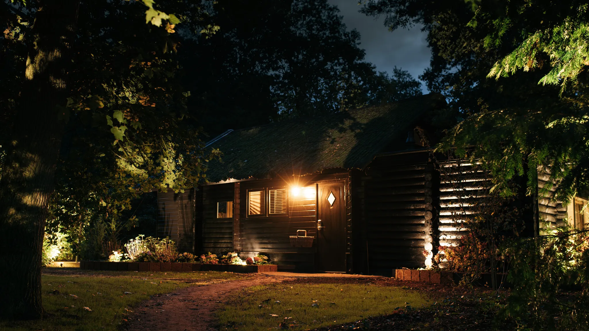 Forest cabin