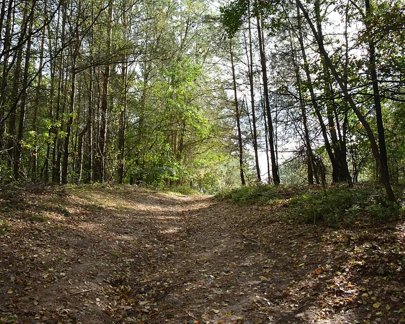 Veluwe