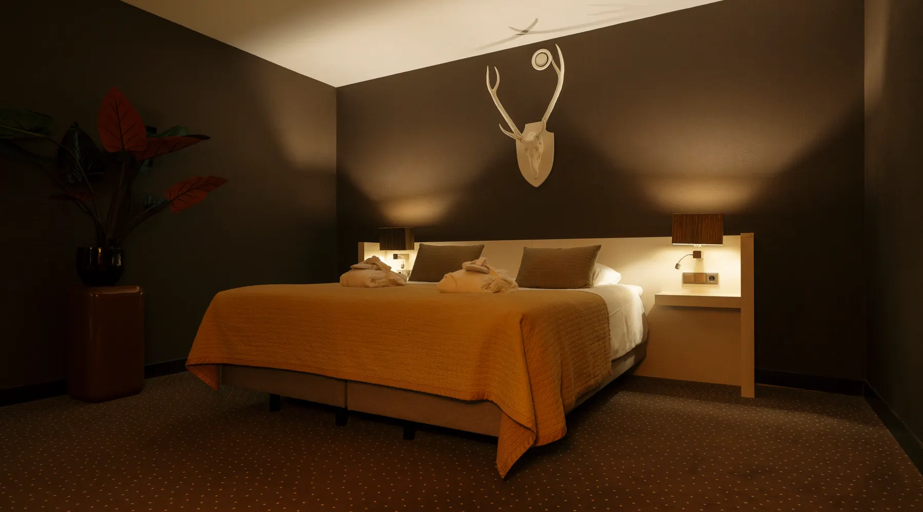 Comfort Deluxe - Gesloten badkamer