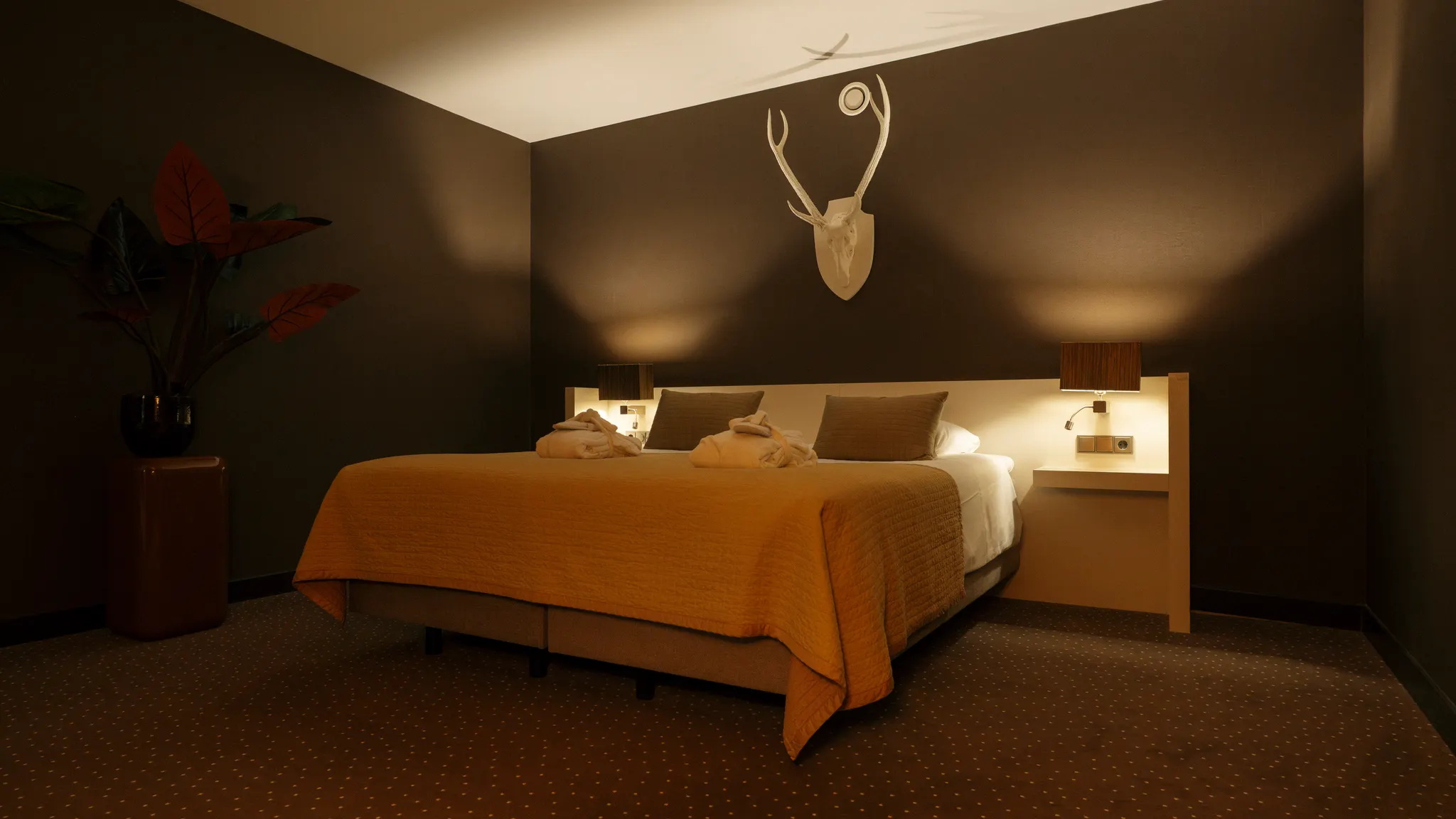 Comfort Deluxe - Gesloten badkamer
