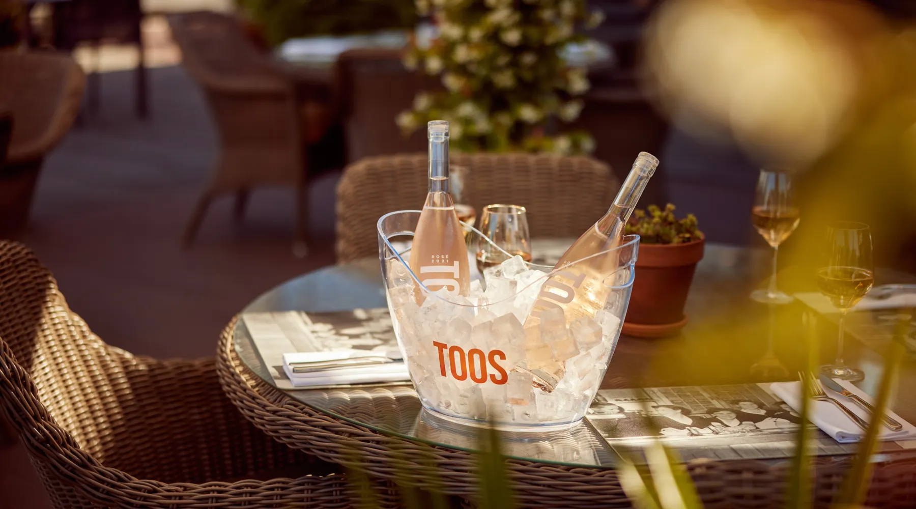 Terras