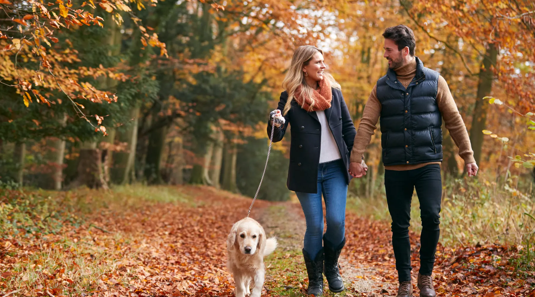 Heerlijke herfst | Hotel Amersfoort