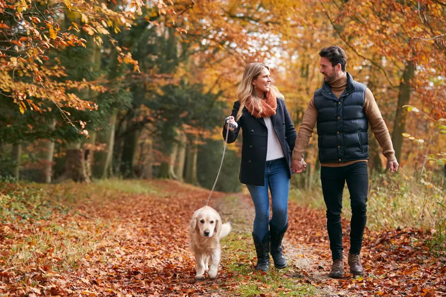 Schöner Herbst | Hotel Amersfoort